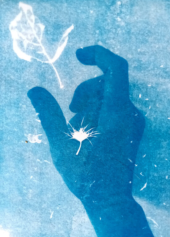 Cyanotypes