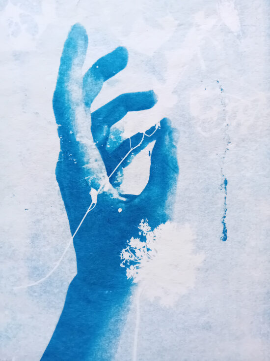 Cyanotypes