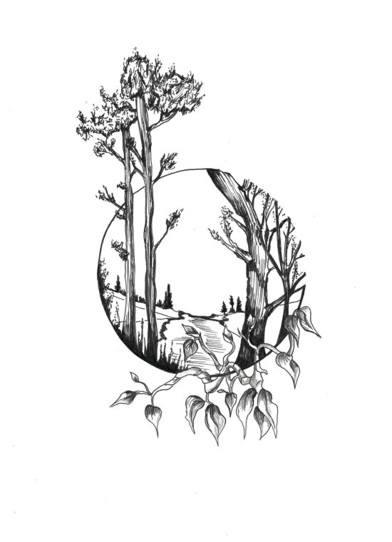 Monde végétal