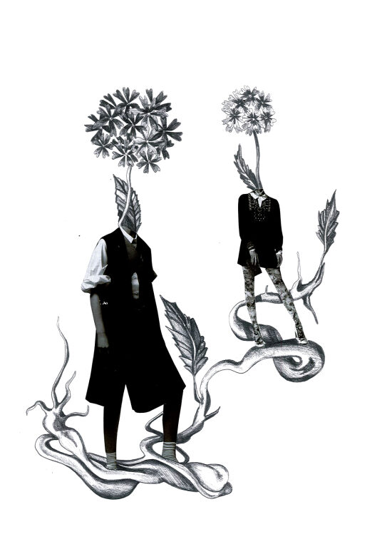 Flore 1 - Humano végétaux