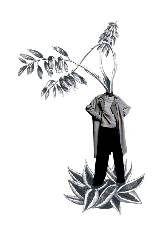 Flore2 - Humano végétaux