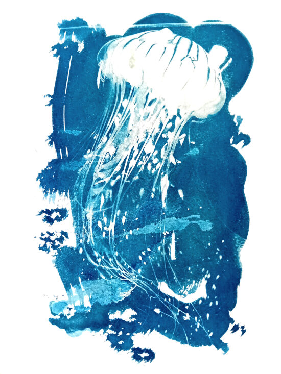 méduse2