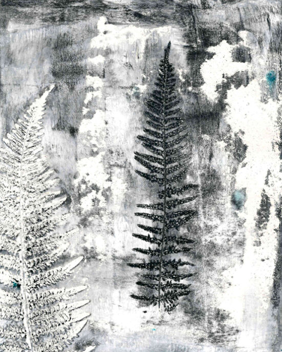 Série - Végétaux - En hiver